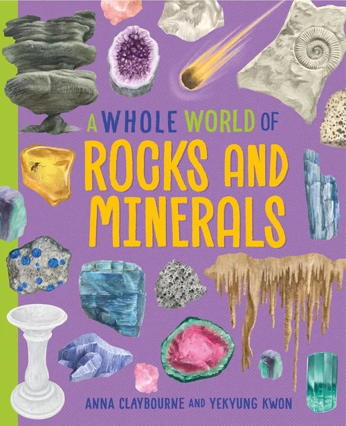 Book cover of 'A Whole World of Rocks and Minerals' with various illustrated rocks and minerals on a purple background.