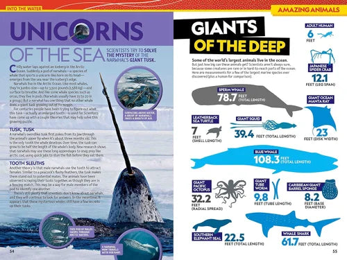 Infographic comparing sea creatures with text about 'Unicorns of the Sea' and 'Giants of the Deep'.