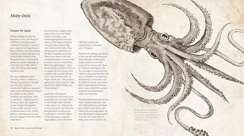 Illustration of a squid with text on a beige background