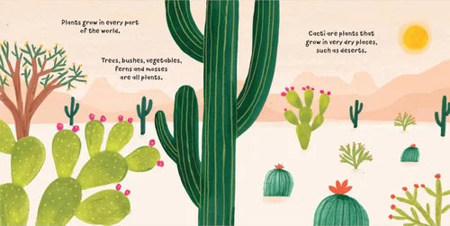 Illustration of cacti and desert plants with text about plants growing in various places.