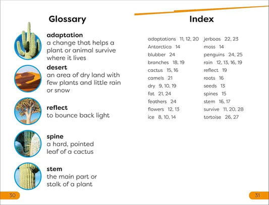 Glossary and index page from a book with illustrations and text.