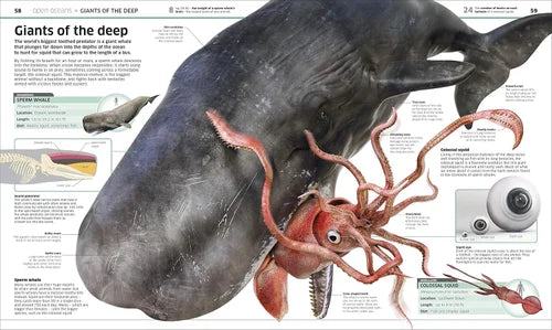 Illustration of a whale and an octopus with scientific text and graphics on a magazine page.