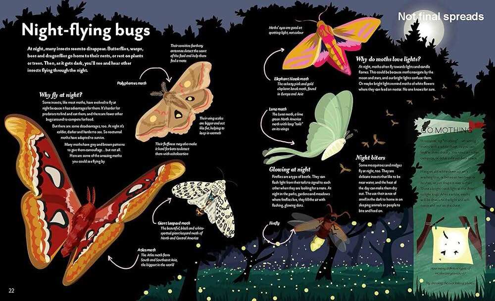 Illustration of night-flying bugs with labels and text on a dark background