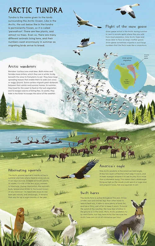 South Pole: From Pole to Pole: a Flip Book