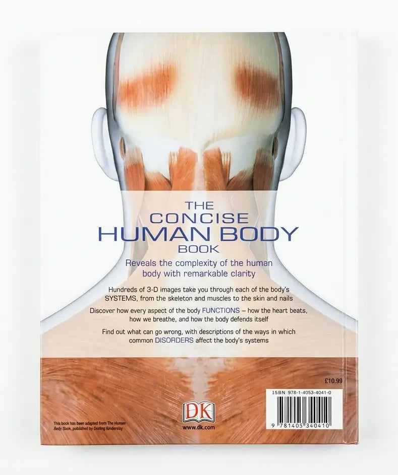 The Concise Human Body Book by DK, featuring a 3D anatomical model of the human head and neck on the cover, with a warm-toned skin texture at the bottom and a barcode in the lower right corner.