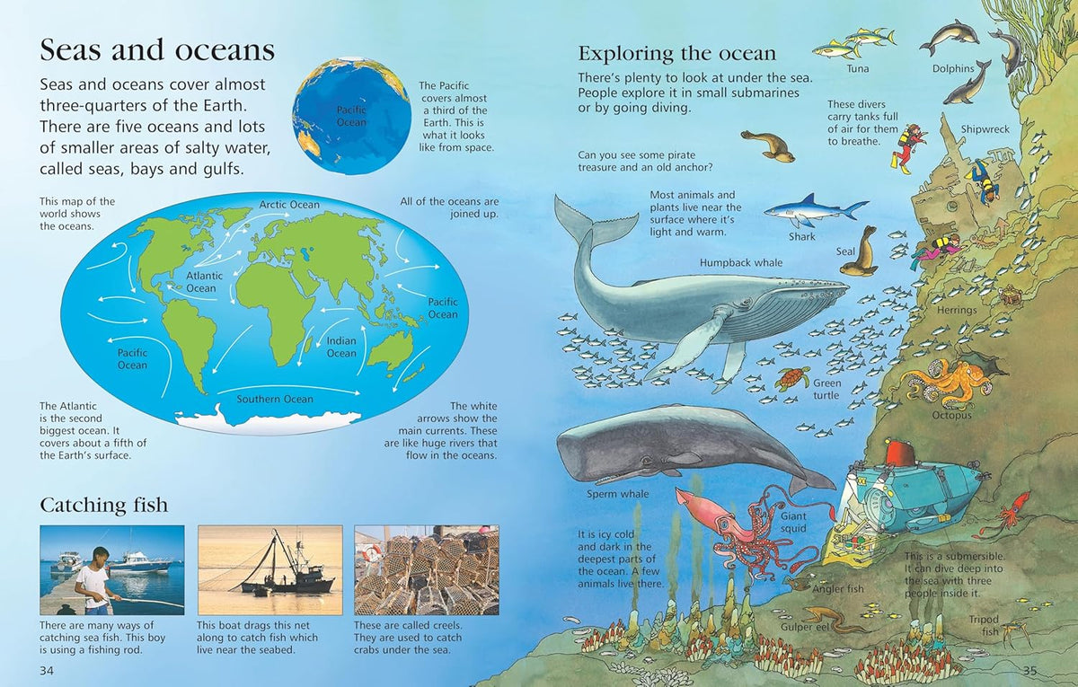 Usborne First Encyclopedia Of Our World