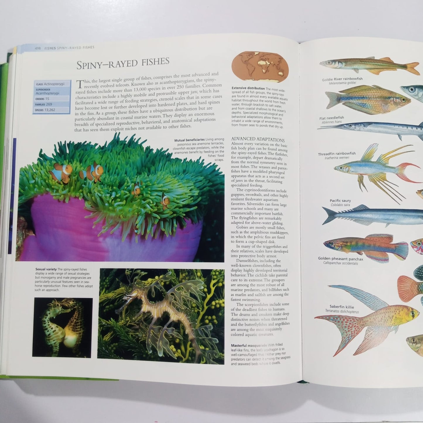 The Encyclopedia of Animals-A Complete Visual Guide (Preloved)