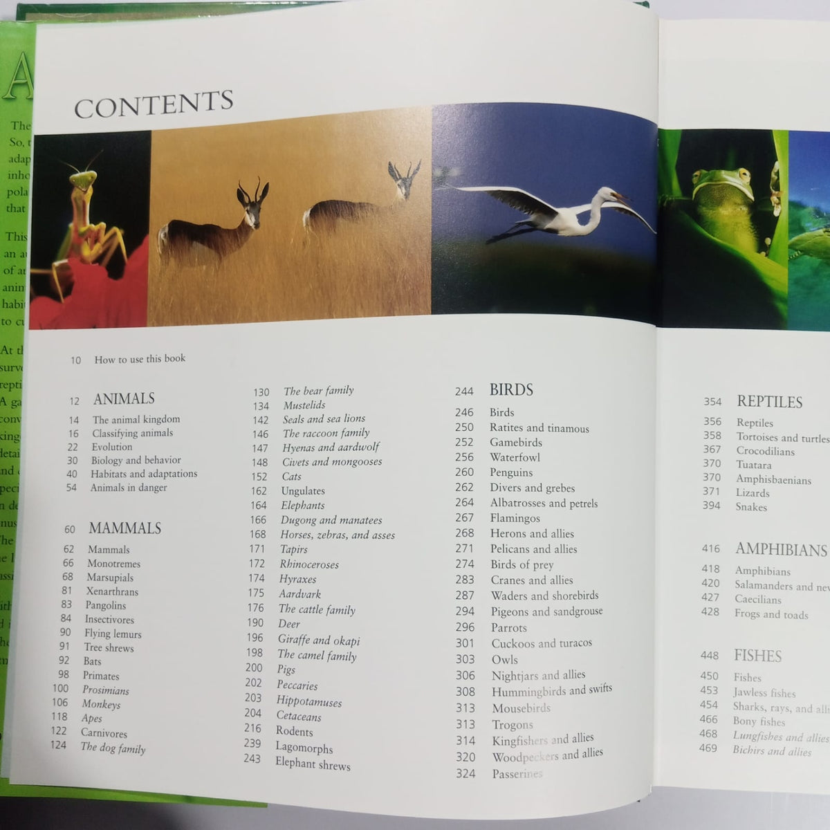 The Encyclopedia of Animals-A Complete Visual Guide (Preloved)