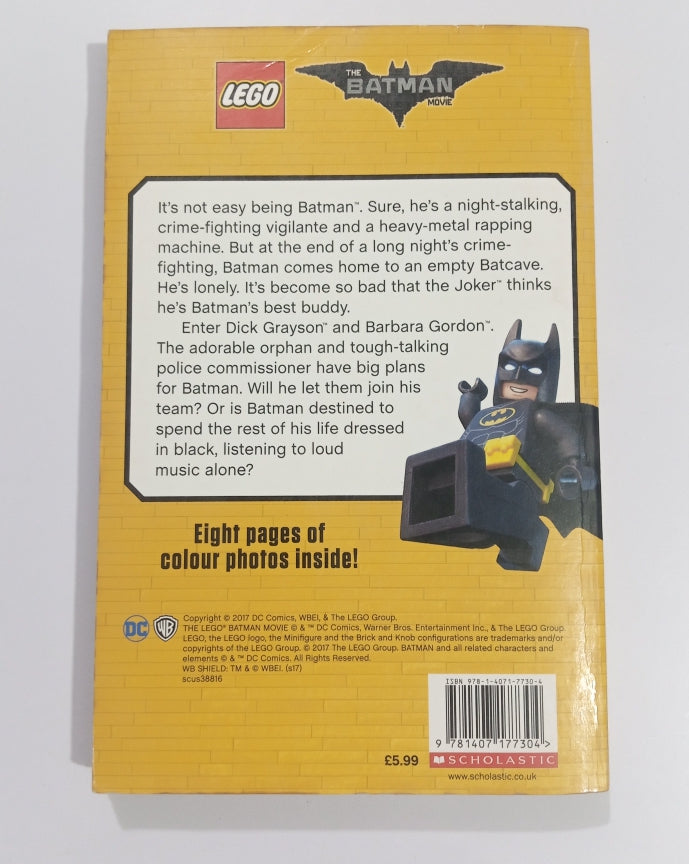 Lego Junior Novel (Preloved)