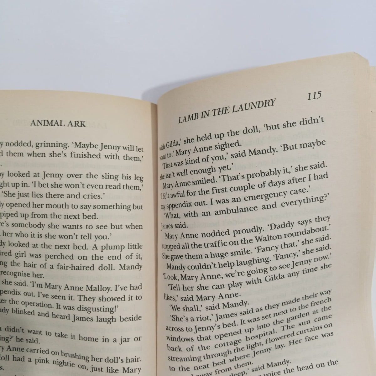 Animal Ark Lamb in the Laundry (Preloved)