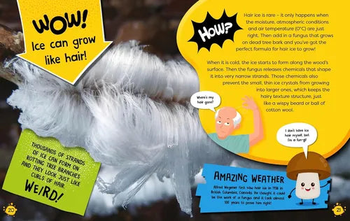 The Wow and How of Weather