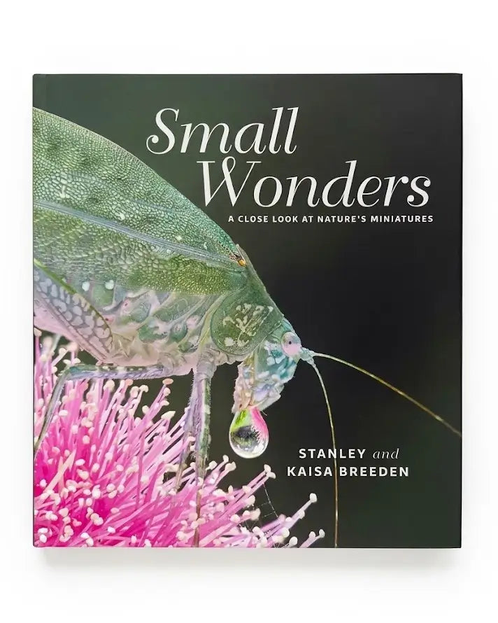 Small Wonders: A Close Look at Nature's Miniatures