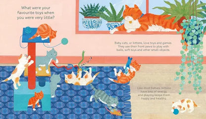 Illustration of cats playing with toys on a blue rug, with text about cat behavior.