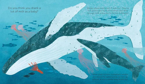 Illustration of a whale and small fish in water with text about milk consumption.