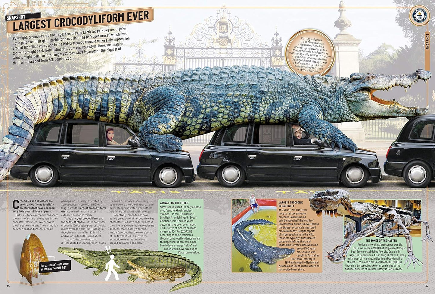 Guinness World Records 2020