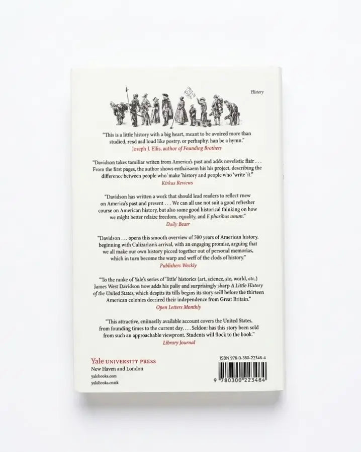 A Little History of the United States (Little Histories)