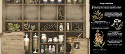 Herbals shelves with various bottles and plants, educational text on a blackboard.