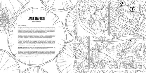 Coloring book page with lemur leaf frog design and text.