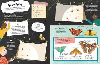 Educational illustration about moths and butterflies with text and diagrams.