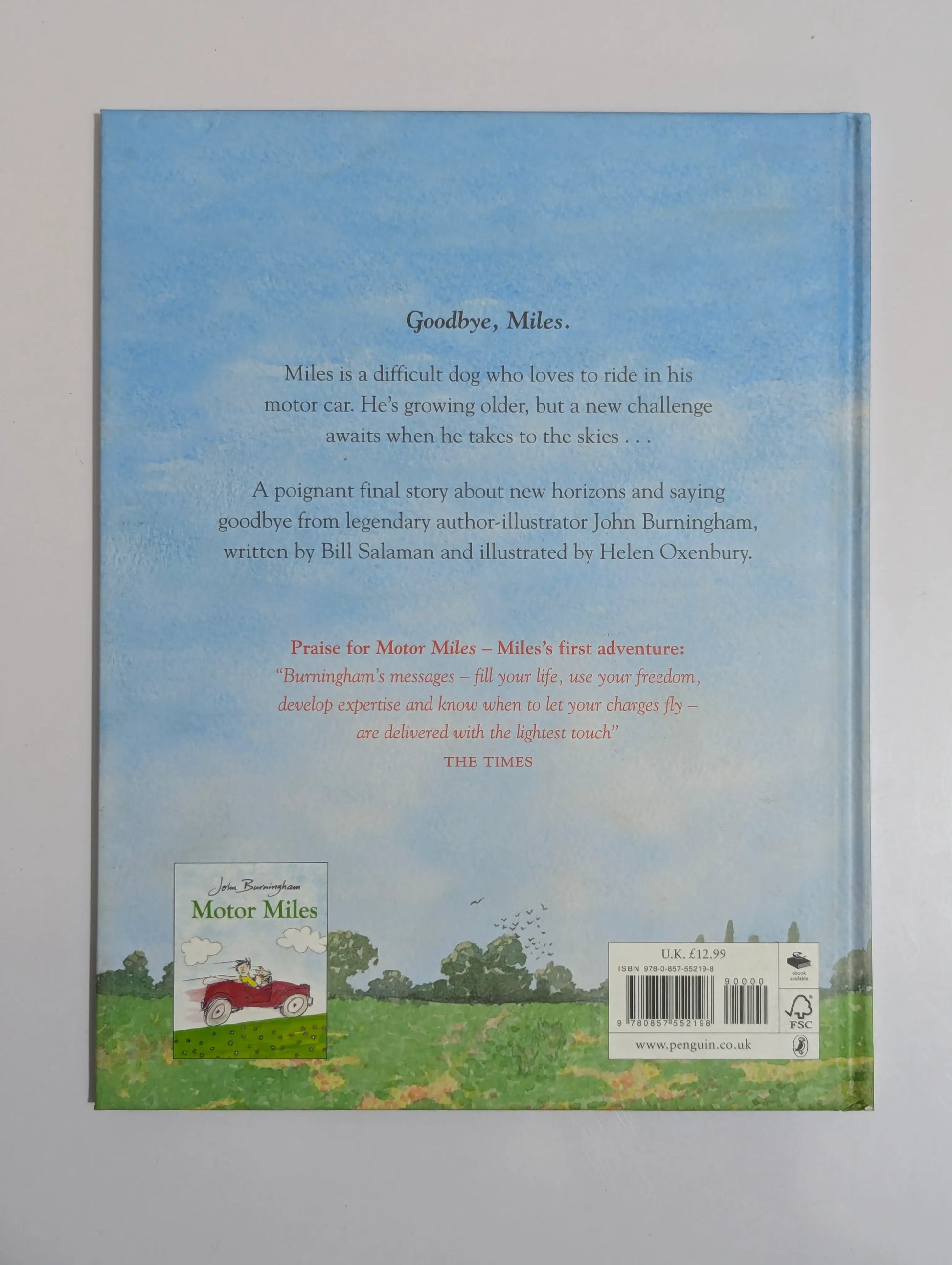 Back cover of a book with a scenic illustration and text.