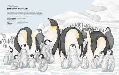 Illustration of Emperor penguins and chicks on a snowy background