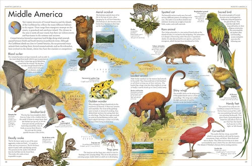 Map of Middle America with illustrations of animals and their habitats