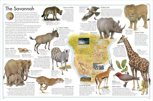 Educational poster about animals of the Savannah with illustrations and text.