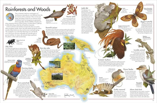 Educational poster about rainforests and woods with illustrations of animals and a map of Australia.