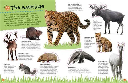 Educational poster about animals in the Americas with illustrations and text.