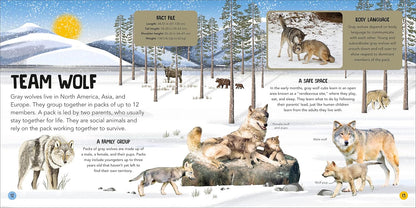 Educational illustration of wolves in a snowy forest with text and graphics about wolf behavior and pack structure.