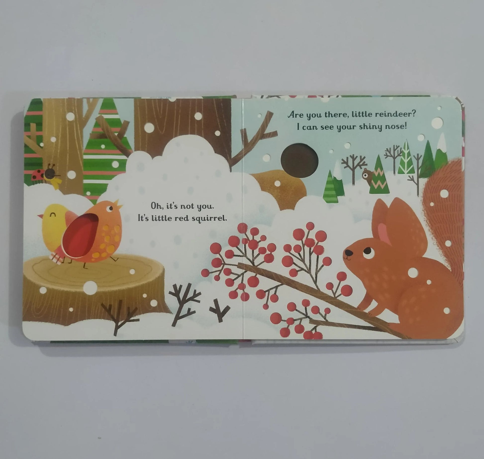 Are-You-There-Little-Reindeer?