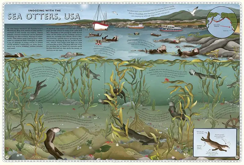 Atlas-of-Ocean-Adventures-by-Emily-Hawkins