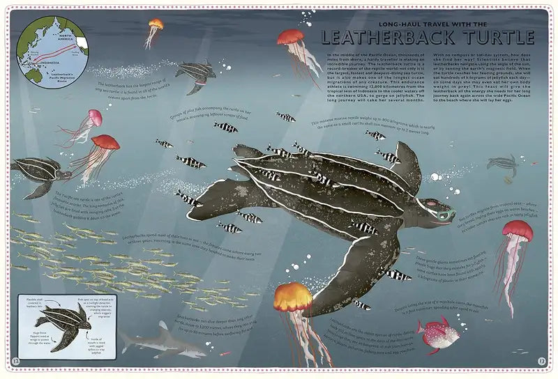 Atlas-of-Ocean-Adventures-Explore-Sea-Creatures