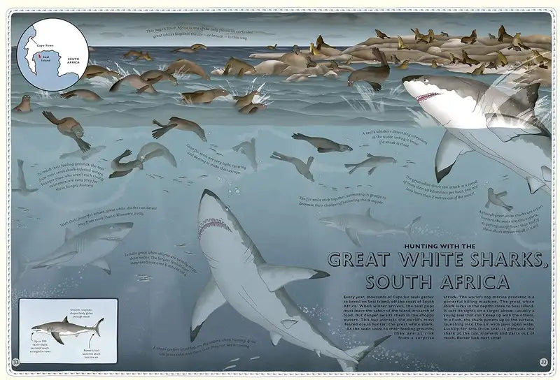 Atlas-of-Ocean-Adventures