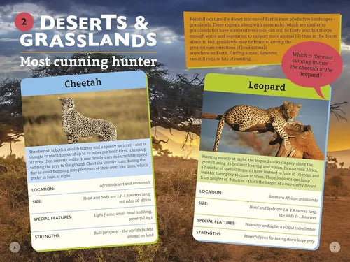 Educational card game showing cheetah and leopard cards with desert background