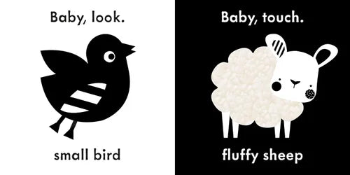 Two illustrations of a small bird and a fluffy sheep with text prompts on a black background.