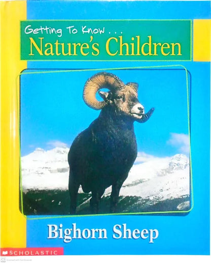 Getting to Know Nature's Children Bighorn Sheep