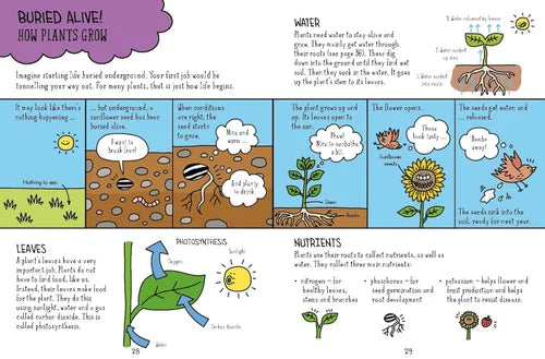 Educational illustration of how plants grow with labeled parts and processes.