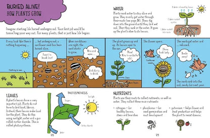 Educational illustration of how plants grow with labeled parts and processes.
