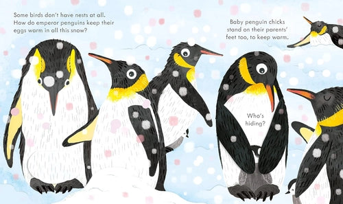 Illustration of penguins in a snowy scene with text about emperor penguins and baby penguin chicks.