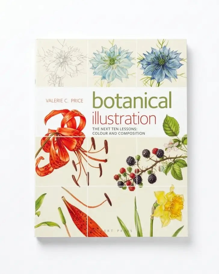 Botanical Illustration: The Next Ten Lessons: Colour and Composition