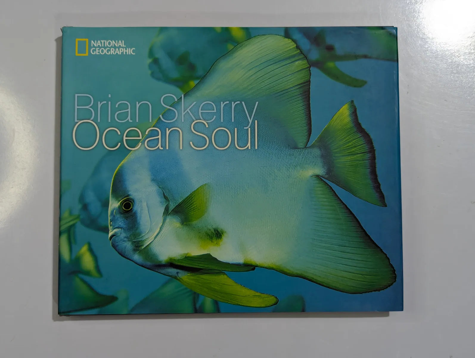Book cover of 'Ocean Soul' by Brian Skerry with a fish illustration on a blue background.