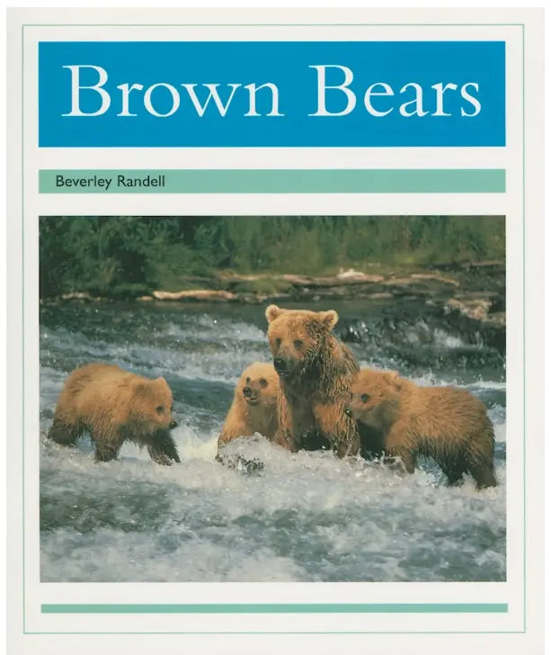 Book cover of 'Brown Bears' by Beverley Randell with a family of bears in a river.