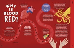 Educational diagram about blood color with text and illustrations on a red background