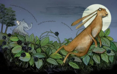 Cave Baby (Preloved)