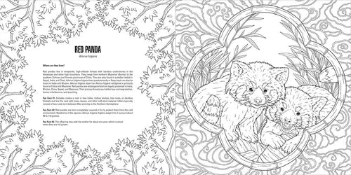 Red panda coloring book page with decorative elements and text.