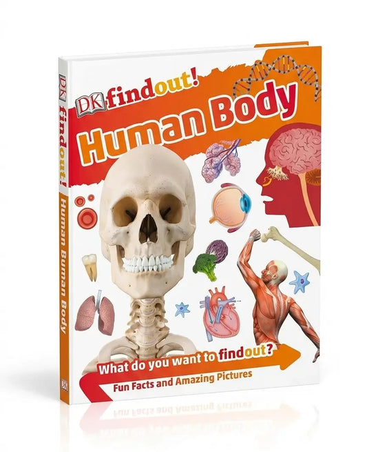 Book titled 'DK findout! Human Body' with illustrations of a skull, skeleton, and various body parts on an orange and white background.