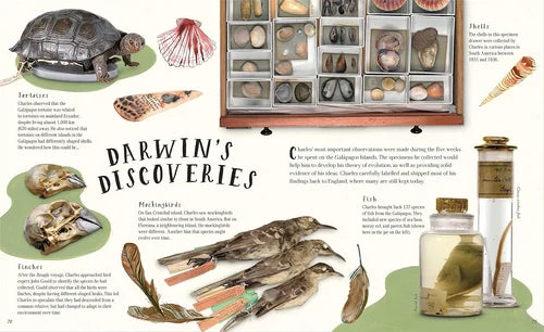 Illustrated page from a book or magazine featuring Darwin's discoveries with various natural specimens.