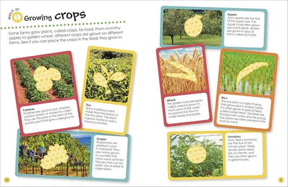 Educational card game with cards depicting different crops and their growth stages.