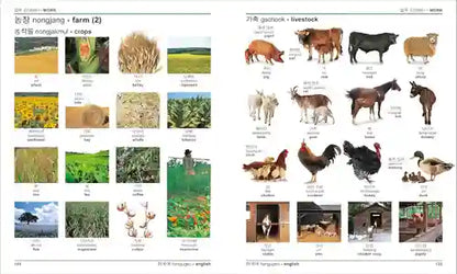 Educational chart showing images and labels of crops, livestock, and farm activities.